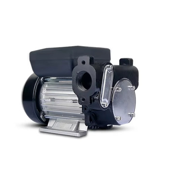 High-flow electric fuel transfer pump